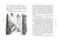 Contacontes Catwings, d'Ursula K. Le Guin. Amb Patricia McGill - 