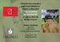 Presentem "Las cicatrices de la tormenta", d'Octavi Franch - 