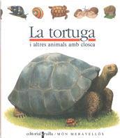 LA TORTUGA | 9788476298206 | GALLIMARD JEUNESSE, ÉDITIONS