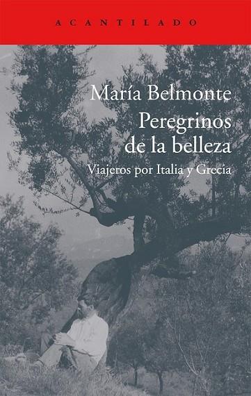 PEREGRINOS DE LA BELLEZA | 9788416011513 | BELMONTE, MARIA