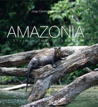 AMAZONIA | 9788482983981 | VALENZUELA