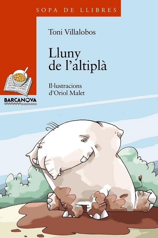LLUNY DE L'ALTIPLA | 9788448919627 | VILLALOBOS