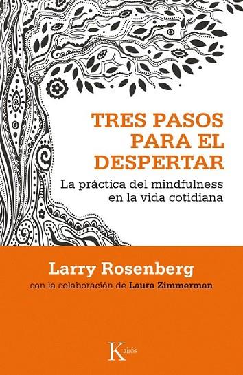 TRES PASOS PARA EL DESPERTAR | 9788499884417 | ROSENBERG, LARRY