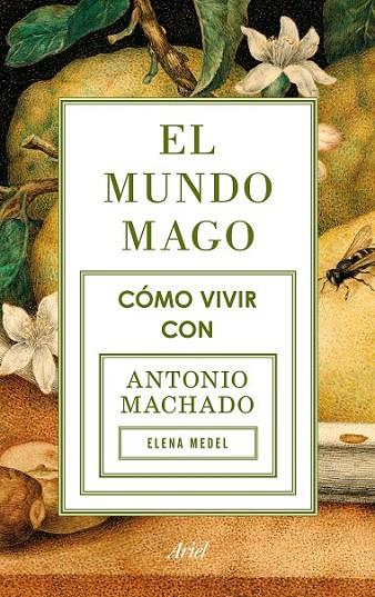 EL MUNDO MAGO | 9788434422353 | MEDEL