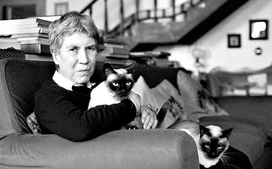 CURS DE TARDOR: Natalia Ginzburg a fons - 