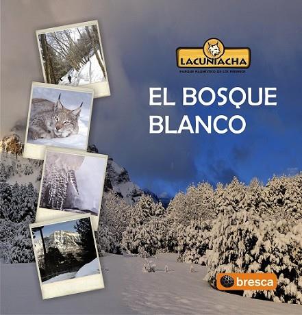 BOSQUE BLANCO, EL | 9788497356978 | DIVERSOS