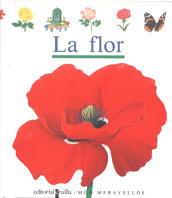 LA FLOR | 9788476295953 | GALLIMARD JEUNESSE, ÉDITIONS