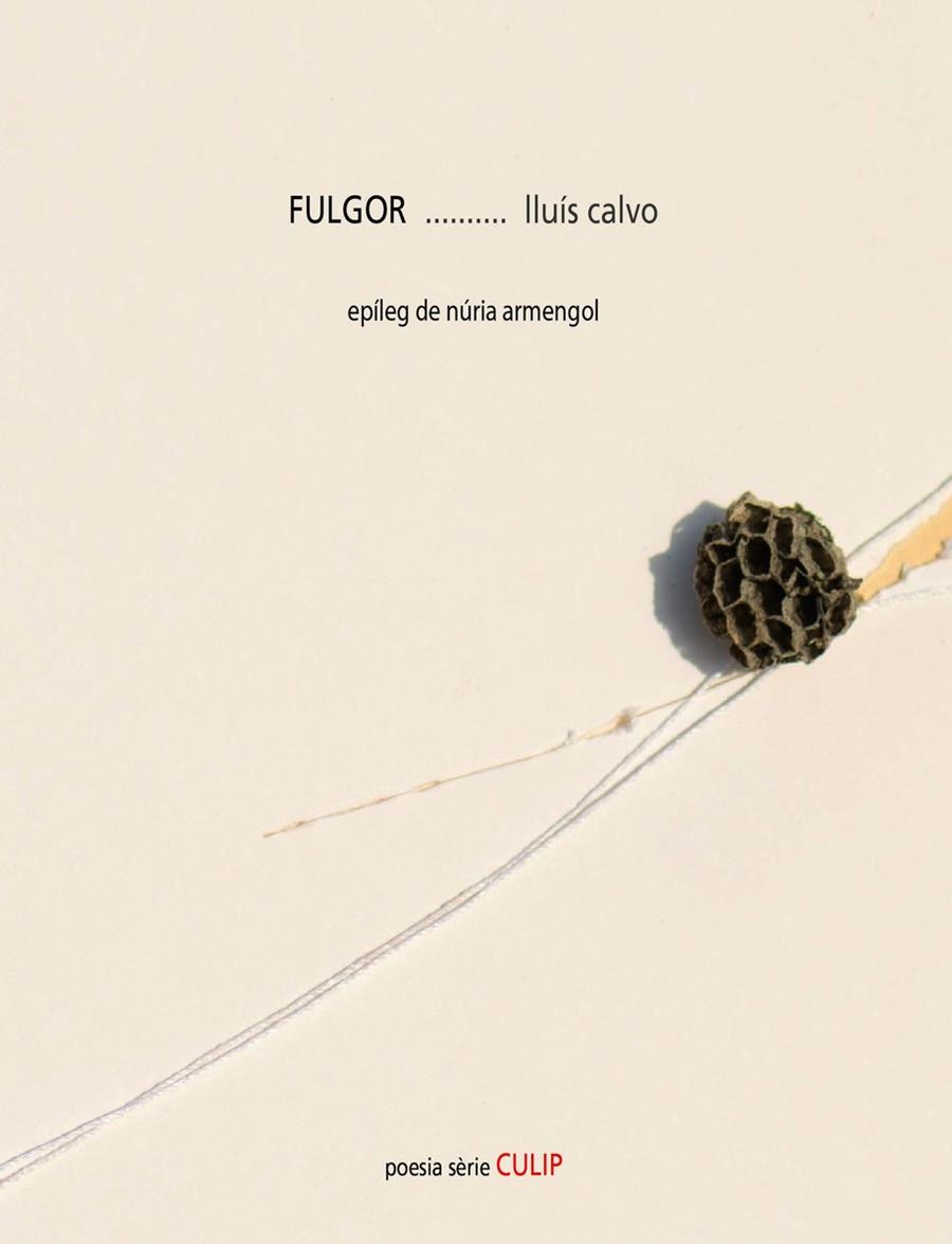 FULGOR | 9788481289862 | CALVO, LLUÍS