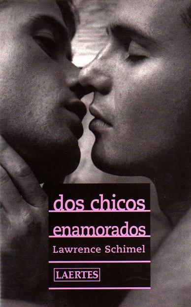 DOS CHICOS ENAMORADOS | 9788475844640 | SCHIMEL, LAWRENCE