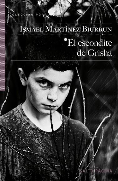 EL ESCONDITE DE GRISHA | 9788415065173 | MARTÍNEZ BIURRUN, ISMAEL