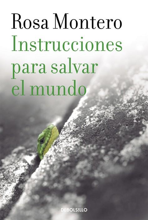 INSTRUCCIONES PARA SALVAR EL MUNDO | 9788490629246 | MONTERO, ROSA