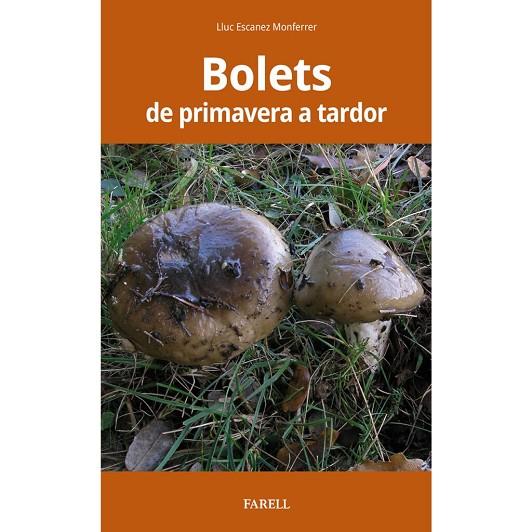 BOLETS DE PRIMAVERA A TARDOR | 9788417116538 | DIVERSOS