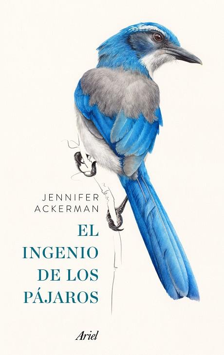 EL INGENIO DE LOS PÁJAROS (EDICION CAJA) | 9788434427167 | ACKERMAN, JENNIFER