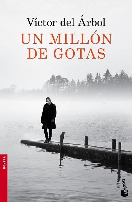UN MILLÓN DE GOTAS | 9788423349418 | DEL ÁRBOL, VICTOR