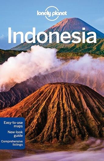 INDONESIA 11 (INGLÉS) | 9781743210284 | AAVV
