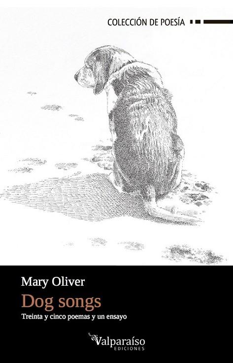 DOG SONGS | 9788494415883 | OLIVER, MARY