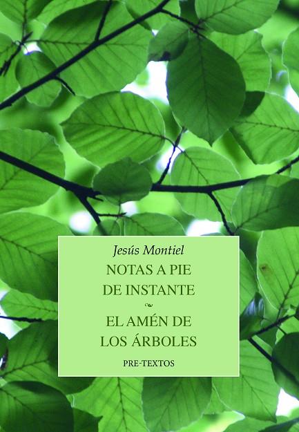 NOTAS A PIE DE INSTANTE / EL AMÉN DE LOS ÁRBOLES | 9788419633255 | MONTIEL, JESÚS