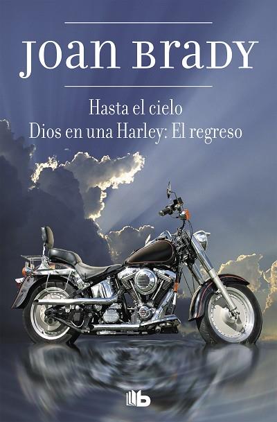 HASTA EL CIELO | 9788498723489 | BRADY