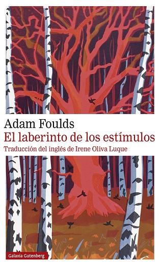 EL LABERINTO DE LOS ESTÍMULOS | 9788417747305 | FOULDS, ADAM