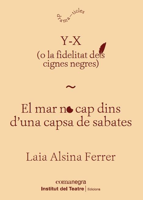 Y-X / EL MAR NO CAP DINS D’UNA CAPSA DE SABATES | 9788418022371 | ALSINA FERRER, LAIA