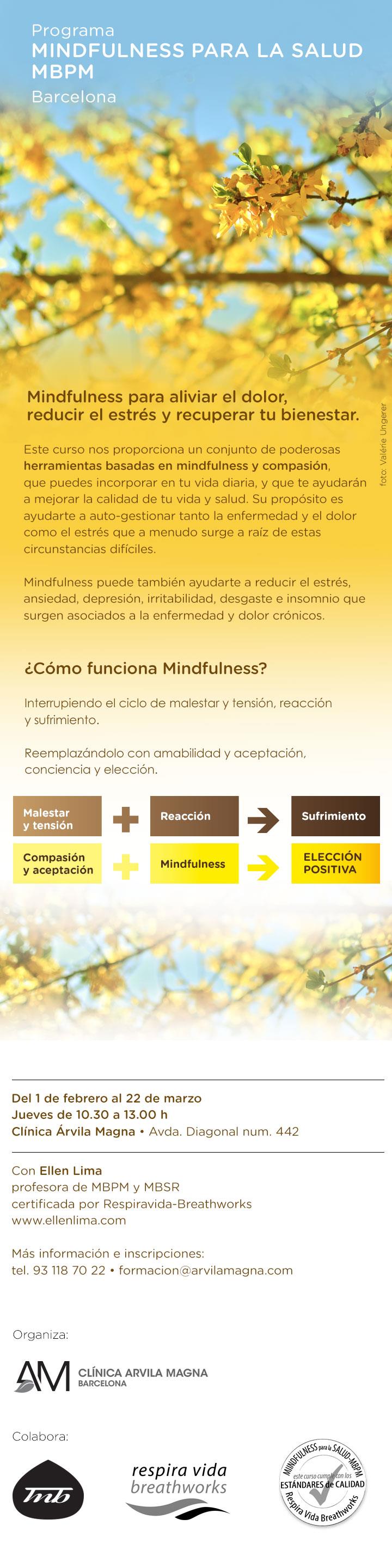 Presentem el curs de 'mindfulness' de la professora Ellen Lima - 