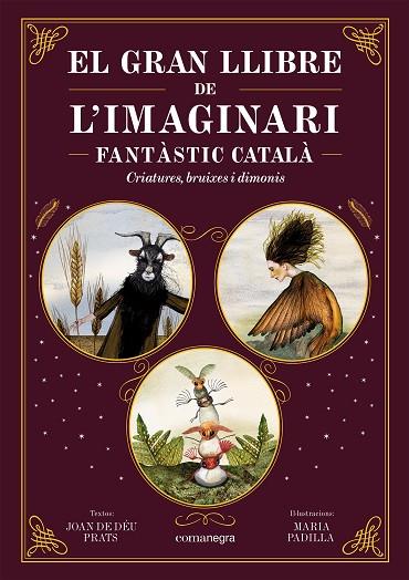 EL GRAN LLIBRE DE L'IMAGINARI FANTÀSTIC CATALÀ | 9788419590558 | PRATS, JOAN DE DÉU/PADILLA, MARIA
