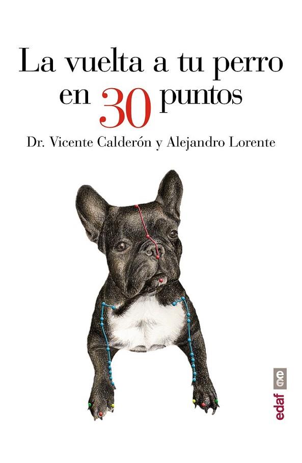 LA VUELTA A TU PERRO EN 30 PUNTOS | 9788441435483 | CALDERÓN, DR. VICENTE