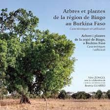 ARBRES I PLANTES DE LA REGIÓ DE BINGO, A BURKINA FASO | 9788418580383 | YÉRO, ZONGO