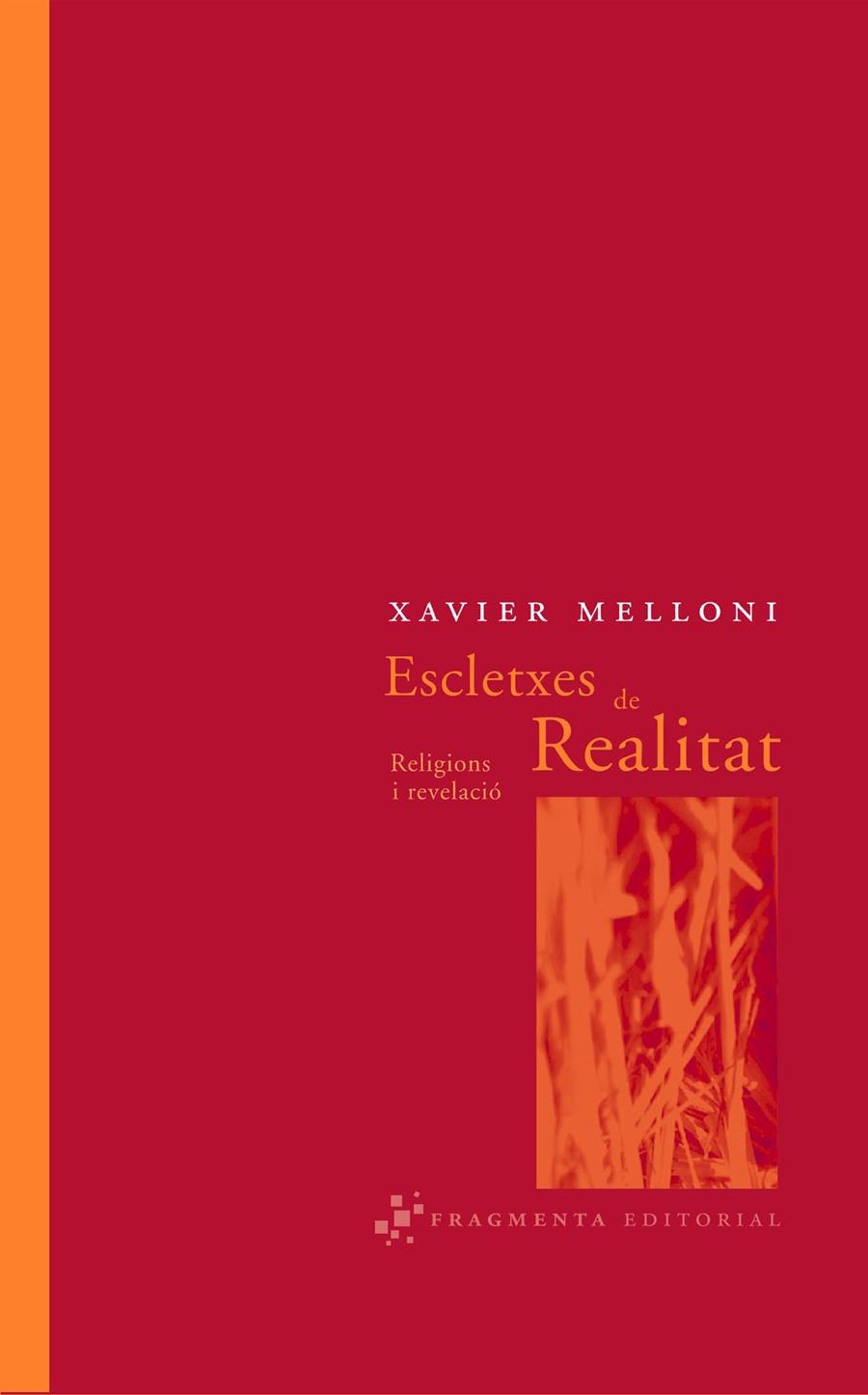 ESCLETXES DE REALITAT | 9788493569501 | MELLONI