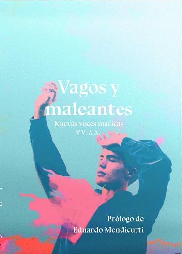 VAGOS Y MALEANTES | 9788417319731 | VV.AA.