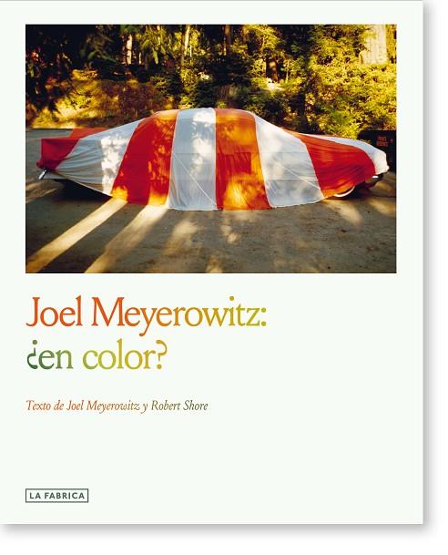 JOEL MEYEROWITZ:¿EN COLOR? | 9788410024007 | MEYEROWITZ, JOEL