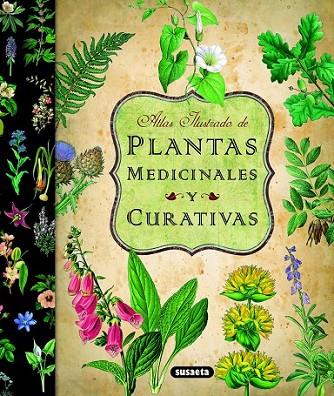 ATLAS ILUSTRADO DE LAS PLANTAS MEDICINALES Y CURATIVAS | 9788467712575 | SUSAETA, EQUIPO