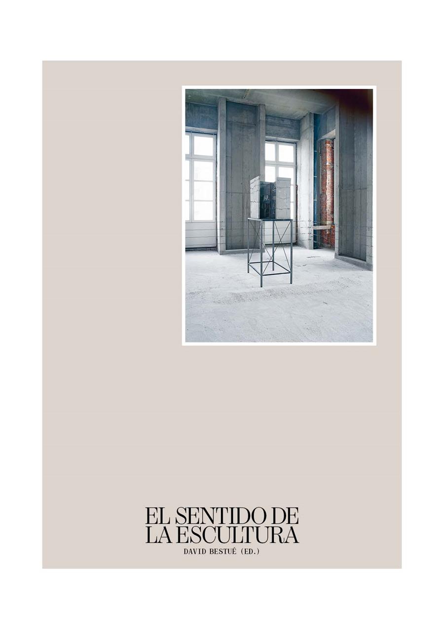 EL SENTIDO DE LA ESCULTURA | 9788416411573 | DAVID BESTUÉ