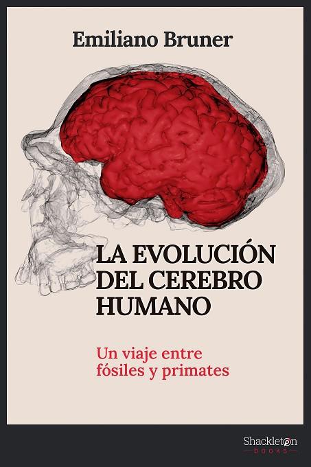 LA EVOLUCIÓN DEL CEREBRO HUMANO | 9788413612249 | BRUNER, EMILIANO