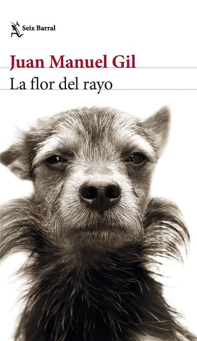 LA FLOR DEL RAYO | 9788432241574 | GIL, JUAN MANUEL