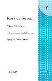 ROSA DE TORRENT | 9788412392012 | VILAPLANA, ALFRED
