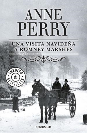 UNA VISITA NAVIDEÑA A ROMNEY MAR | 9788483468722 | PERRY