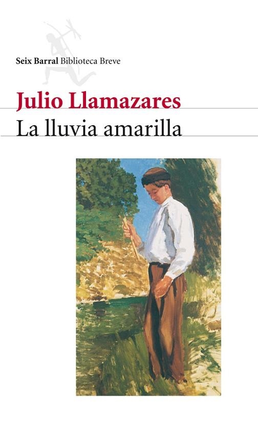 LLUVIA AMARILLA | 9788432208041 | LLAMAZARES