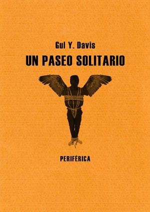 UN PASEO SOLITARIO | 9788493692636 | DAVIS