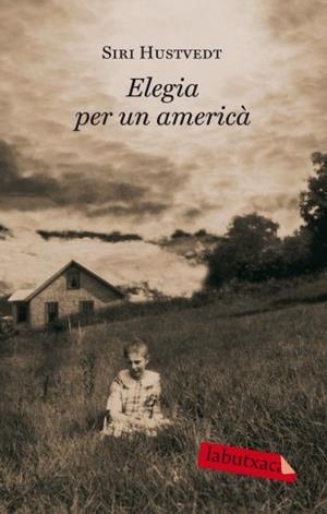 ELEGIA PER UN AMERICA | 9788499301297 | HUSTVEDT