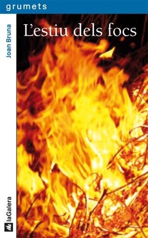 L'ESTIU DELS FOCS | 9788424635817 | BRUNA