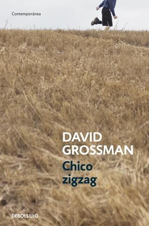CHICO ZIGZAG | 9788499894805 | GROSSMAN