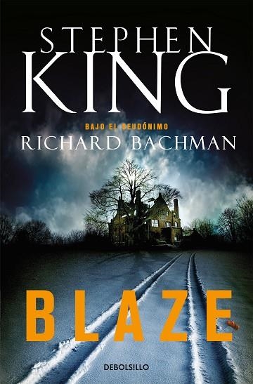 BLAZE | 9788499083384 | KING