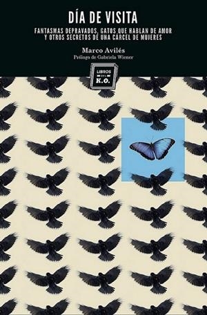 DIA DE VISITA | 9788494010187 | AVILES