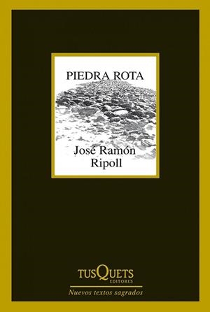 PIEDRA ROTA | 9788483834787 | RIPOLL