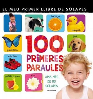 EL MEU PRIMER LLIBRE DE LES 100 PARAULES | 9788415790174 | DIVERSOS