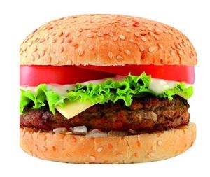 HAMBURGUESAS | 9788427039971 | DIVERSOS