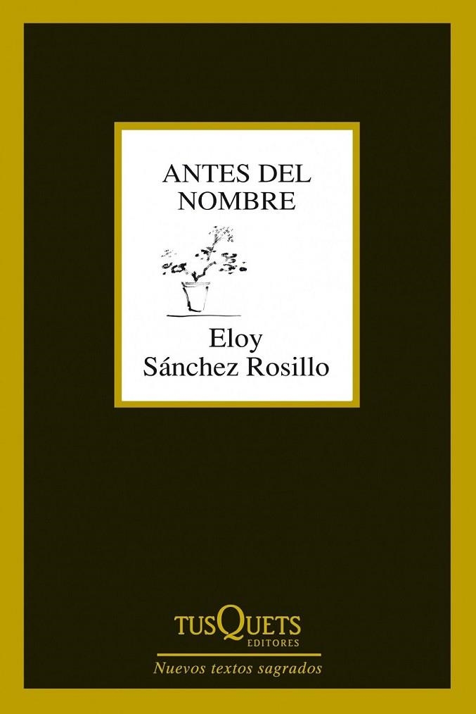 ANTES DEL NOMBRE | 9788483834619 | SANCHEZ