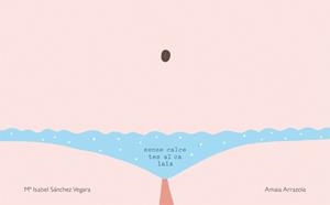 SENSE CALCETES AL CALAIX | 9788416670031 | SANCHEZ VEGARA, MARIA ISABEL