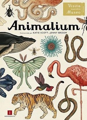 ANIMALIUM | 9788415979463 | BROOM, JENNY